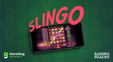 Online Slingo Games UK 2026: Best Slingo Sites, RTP, Volatility & Max Wins