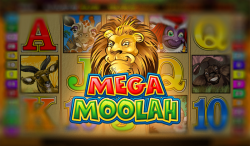 Online review of Mega Moolah slot game