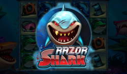 Online review of Razor shark slot game