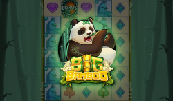 Online review of Big Bamboo slot game