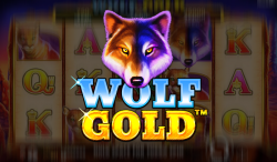 Online review of Wolf Gold slot game
